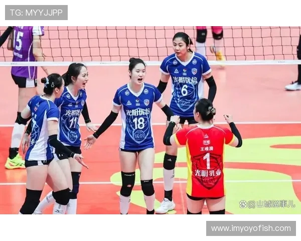 上海女排与广东恒大巅峰对决谁将赢得这场排球盛宴