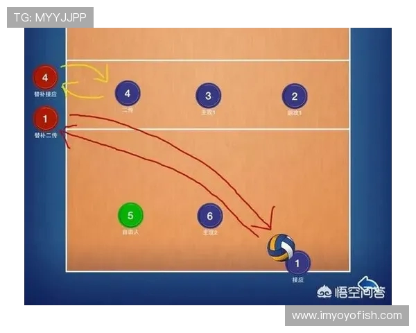 成都排球队技术探讨：聚焦排球战术与训练方法的创新与发展
