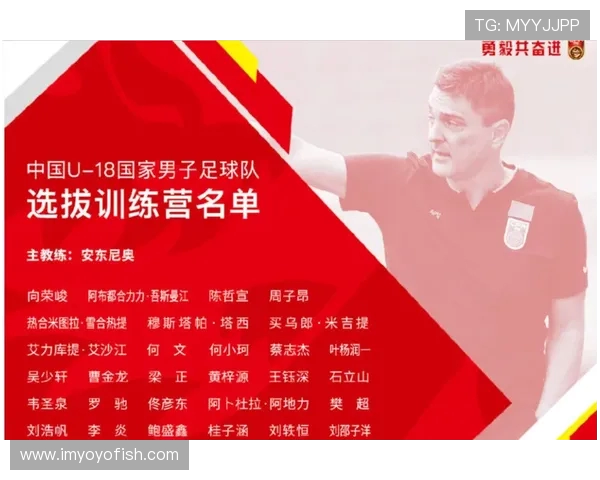 成都足球队的崛起与奋斗历程欧锦赛特别报道揭秘成长背后的故事